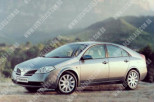 Nissan Primera P12 (02-08), Лобове скло