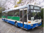 Mercedes O 405 (83-01), Лобовое стекло