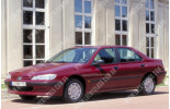 Peugeot 406 (95-04), Лобове скло