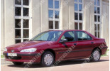 Peugeot 406 (95-04), Лобовое стекло